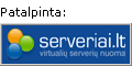 virtualus serveris, web hostingas, domenai